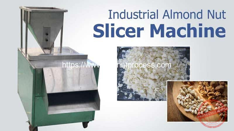 Automatic-Nut-Slicer-Machine