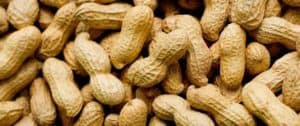 How to Store Raw Peanuts
