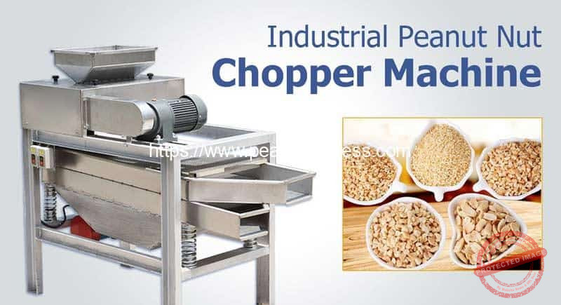 Peanut-Granule-Chopper-Cutter-Machine