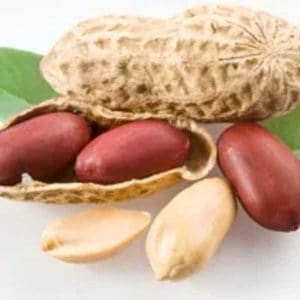 Using peanuts to cure peanut allergy