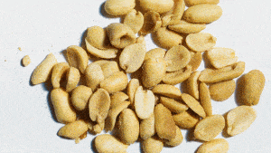 Liquid mouth drops could one day protect people from peanut allergies