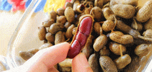 5 Tips for Making Boiled Peanuts When You Can’t Get Them on a Road Trip