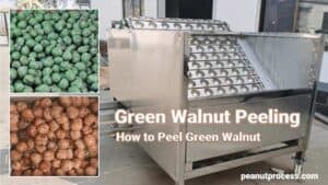 Automatic Green Walnut Peeling Machine Automatic Green Walnut Peeling Machine